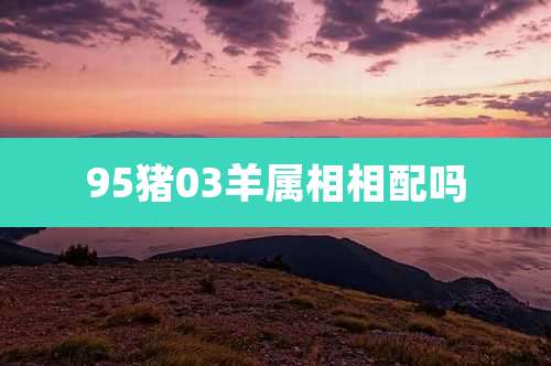 95猪03羊属相相配吗