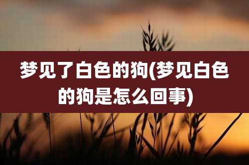 梦见了白色的狗(梦见白色的狗是怎么回事)