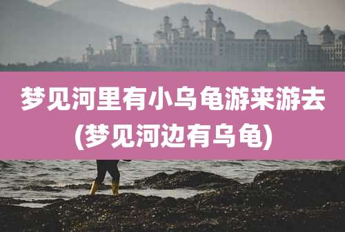 梦见河里有小乌龟游来游去(梦见河边有乌龟)