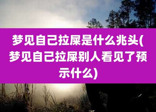 梦见自己拉屎是什么兆头(梦见自己拉屎别人看见了预示什么)