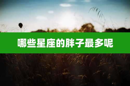 哪些星座的胖子最多呢