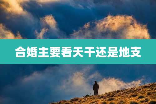 合婚主要看天干还是地支