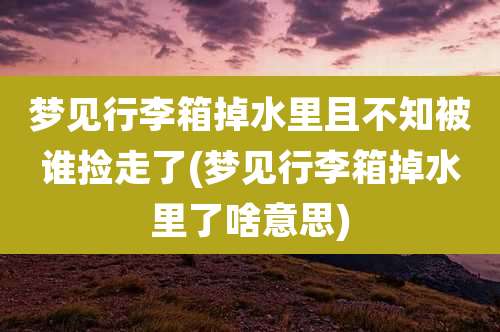 梦见行李箱掉水里且不知被谁捡走了(梦见行李箱掉水里了啥意思)