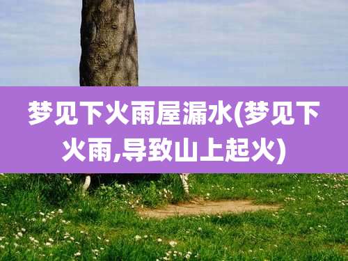 梦见下火雨屋漏水(梦见下火雨,导致山上起火)