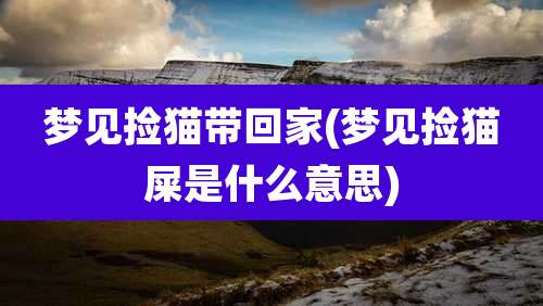 梦见捡猫带回家(梦见捡猫屎是什么意思)