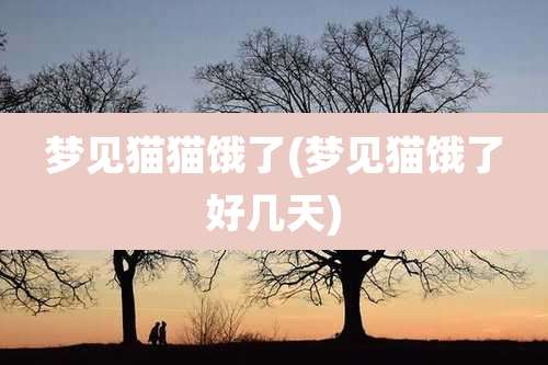 梦见猫猫饿了(梦见猫饿了好几天)