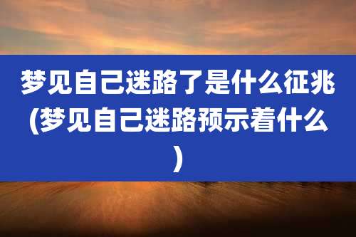 梦见自己迷路了是什么征兆(梦见自己迷路预示着什么)