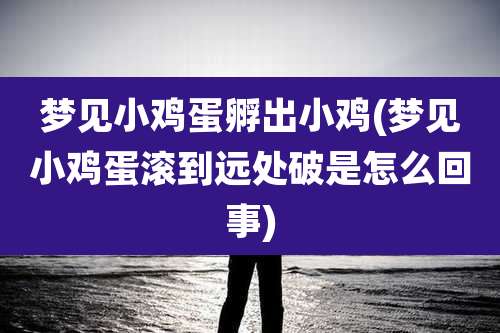 梦见小鸡蛋孵出小鸡(梦见小鸡蛋滚到远处破是怎么回事)