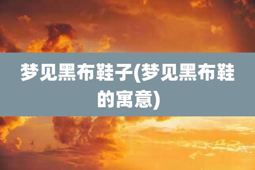 梦见黑布鞋子(梦见黑布鞋的寓意)