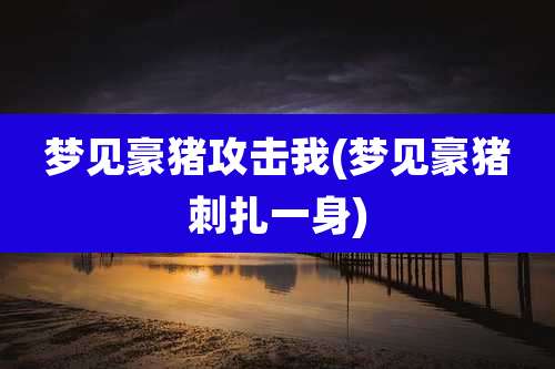 梦见豪猪攻击我(梦见豪猪刺扎一身)