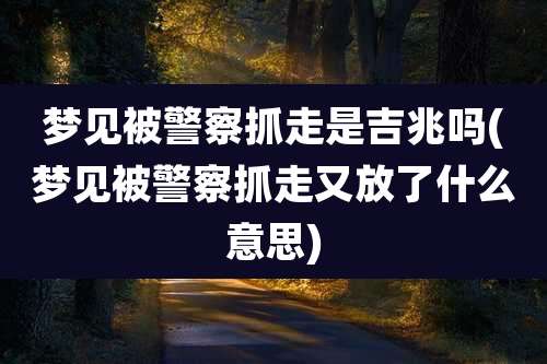 梦见被警察抓走是吉兆吗(梦见被警察抓走又放了什么意思)