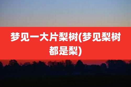梦见一大片梨树(梦见梨树都是梨)