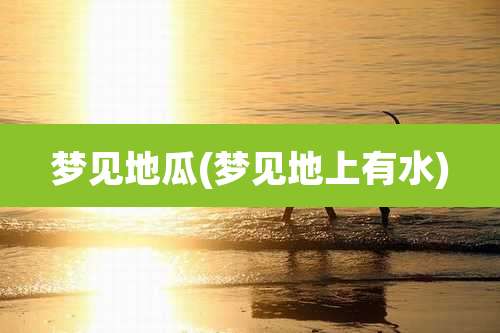 梦见地瓜(梦见地上有水)