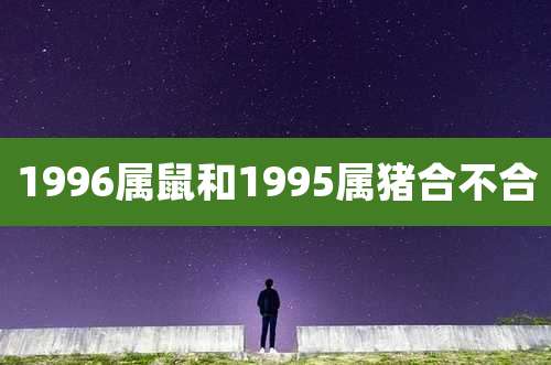 1996属鼠和1995属猪合不合