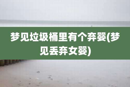 梦见垃圾桶里有个弃婴(梦见丢弃女婴)