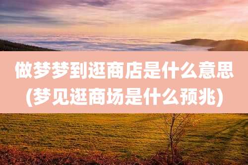 做梦梦到逛商店是什么意思(梦见逛商场是什么预兆)