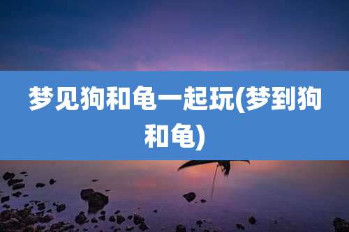梦见狗和龟一起玩(梦到狗和龟)
