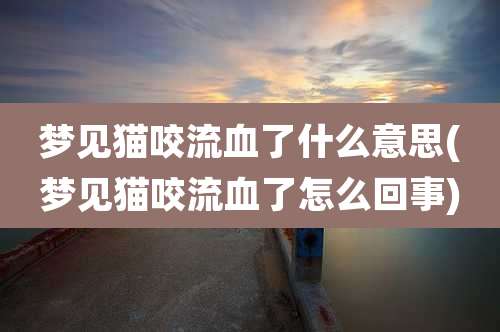 梦见猫咬流血了什么意思(梦见猫咬流血了怎么回事)