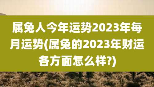 属兔人今年运势2023年每月运势(属兔的2023年财运各方面怎么样?)