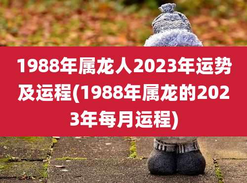1988年属龙人2023年运势及运程(1988年属龙的2023年每月运程)