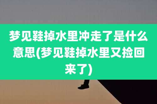 梦见鞋掉水里冲走了是什么意思(梦见鞋掉水里又捡回来了)