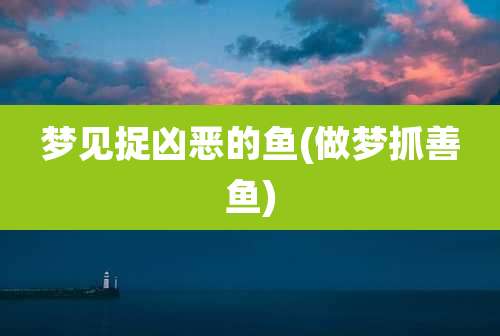 梦见捉凶恶的鱼(做梦抓善鱼)