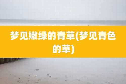 梦见嫩绿的青草(梦见青色的草)