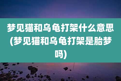 梦见猫和乌龟打架什么意思(梦见猫和乌龟打架是胎梦吗)