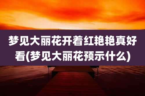 梦见大丽花开着红艳艳真好看(梦见大丽花预示什么)