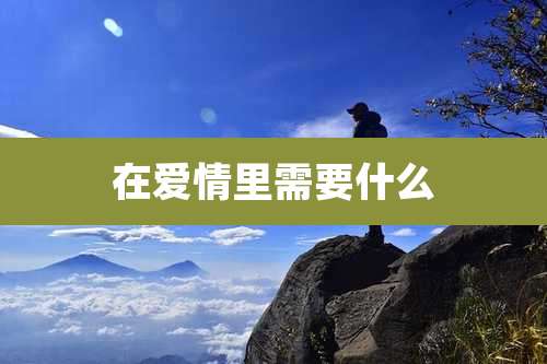 在爱情里需要什么