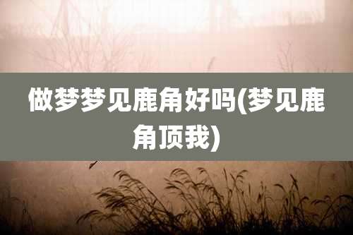 做梦梦见鹿角好吗(梦见鹿角顶我)