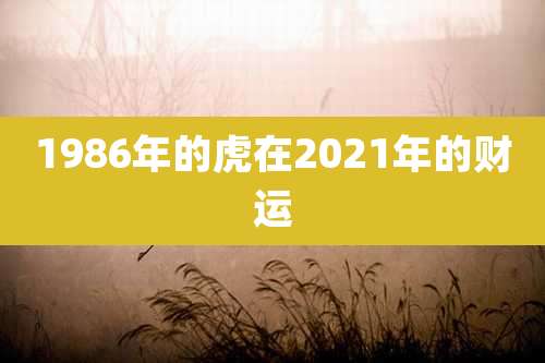1986年的虎在2021年的财运
