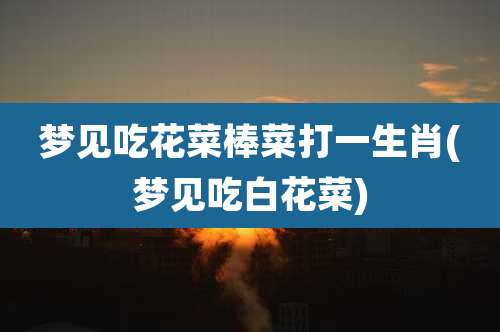 梦见吃花菜棒菜打一生肖(梦见吃白花菜)