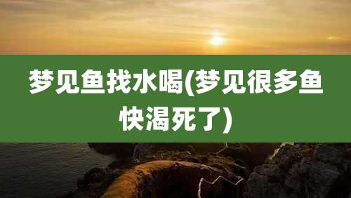 梦见鱼找水喝(梦见很多鱼快渴死了)