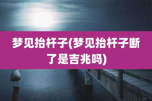 梦见抬杆子(梦见抬杆子断了是吉兆吗)