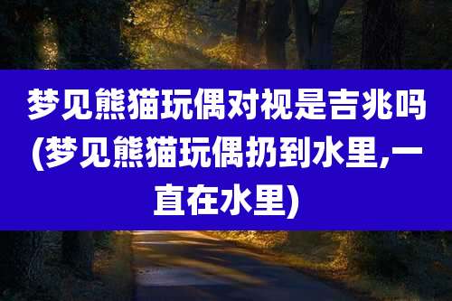 梦见熊猫玩偶对视是吉兆吗(梦见熊猫玩偶扔到水里,一直在水里)