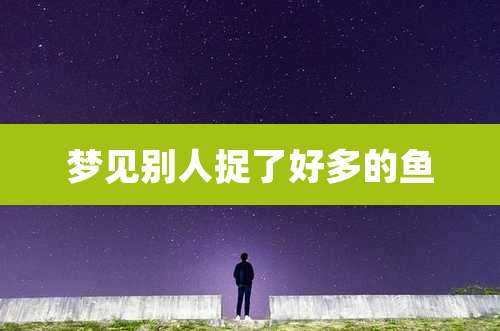 梦见别人捉了好多的鱼