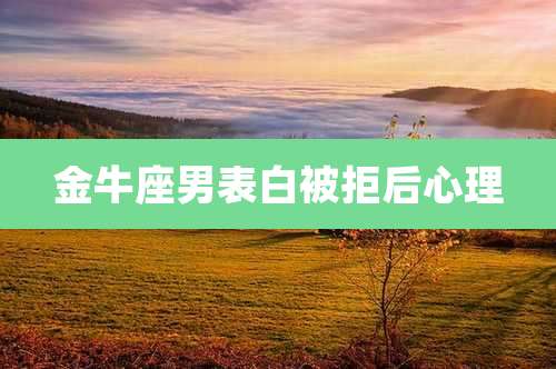 金牛座男表白被拒后心理