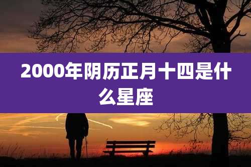 2000年阴历正月十四是什么星座