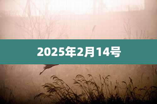 2025年2月14号
