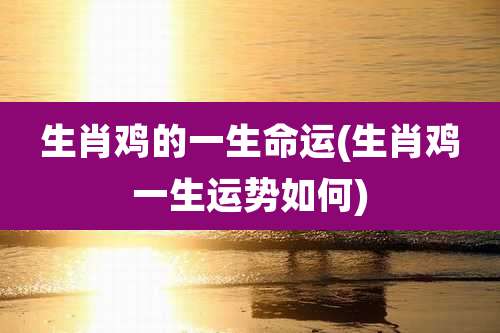 生肖鸡的一生命运(生肖鸡一生运势如何)