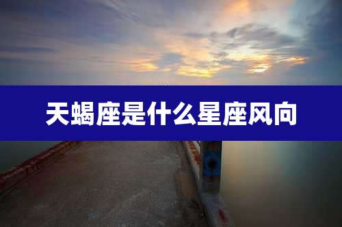 天蝎座是什么星座风向