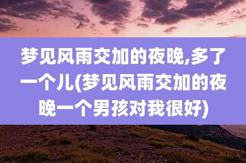 梦见风雨交加的夜晚,多了一个儿(梦见风雨交加的夜晚一个男孩对我很好)