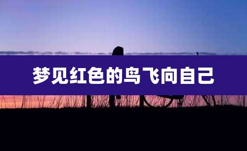 梦见红色的鸟飞向自己
