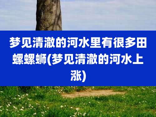 梦见清澈的河水里有很多田螺螺蛳(梦见清澈的河水上涨)