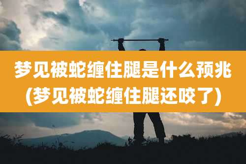 梦见被蛇缠住腿是什么预兆(梦见被蛇缠住腿还咬了)