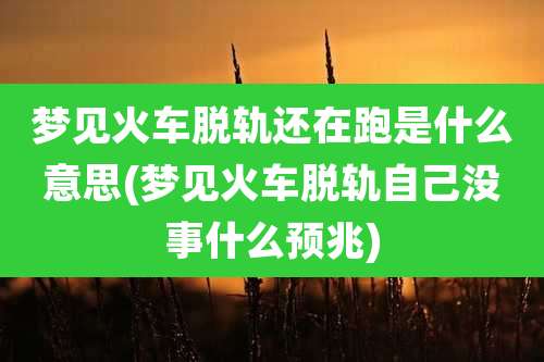 梦见火车脱轨还在跑是什么意思(梦见火车脱轨自己没事什么预兆)