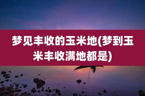 梦见丰收的玉米地(梦到玉米丰收满地都是)