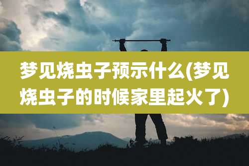 梦见烧虫子预示什么(梦见烧虫子的时候家里起火了)