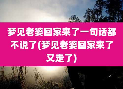 梦见老婆回家来了一句话都不说了(梦见老婆回家来了又走了)